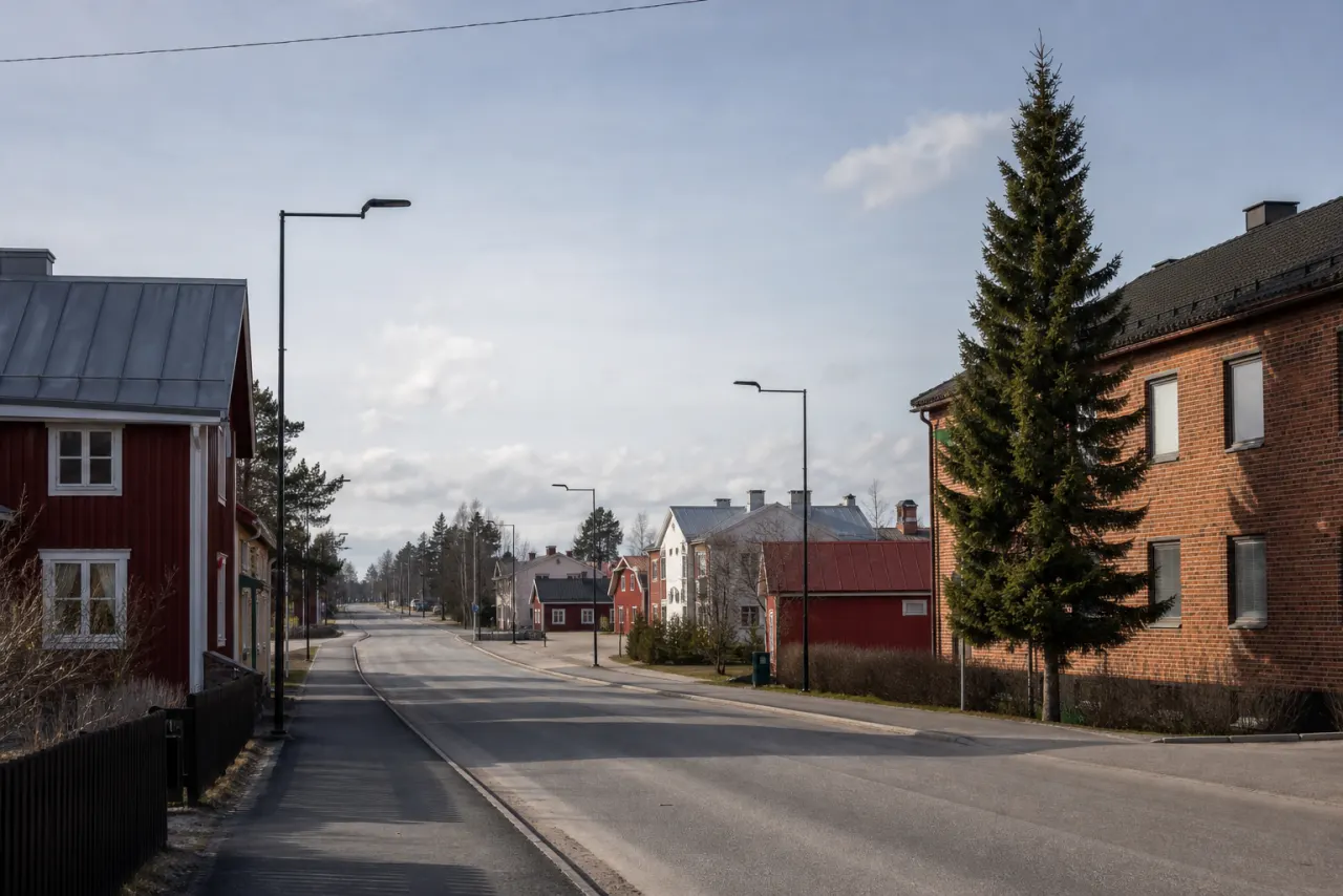 Fiber i Dorotea