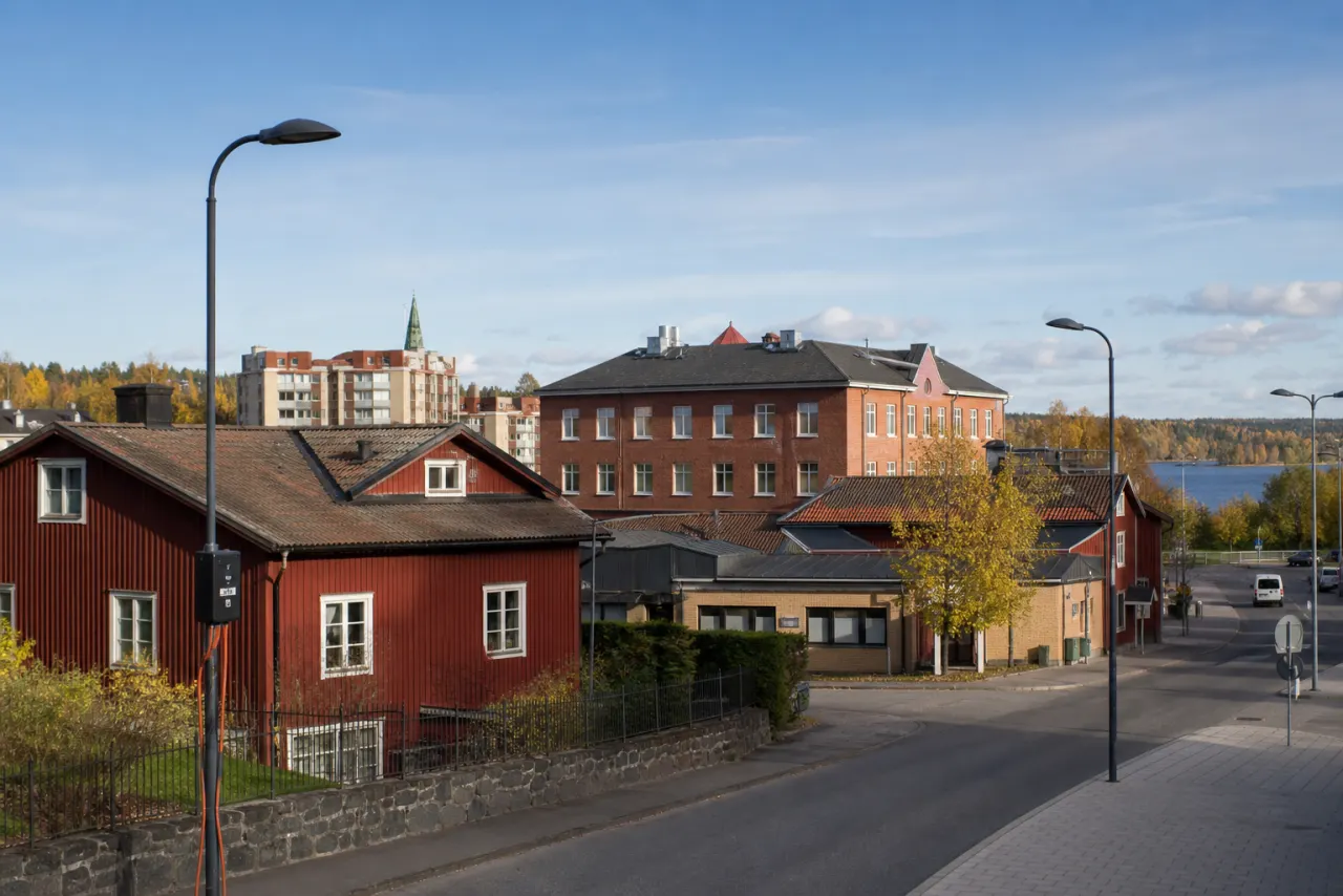 Fiber i Ludvika