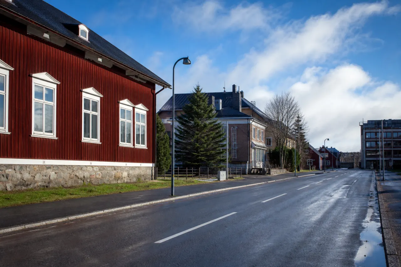Fiber i Vilhelmina